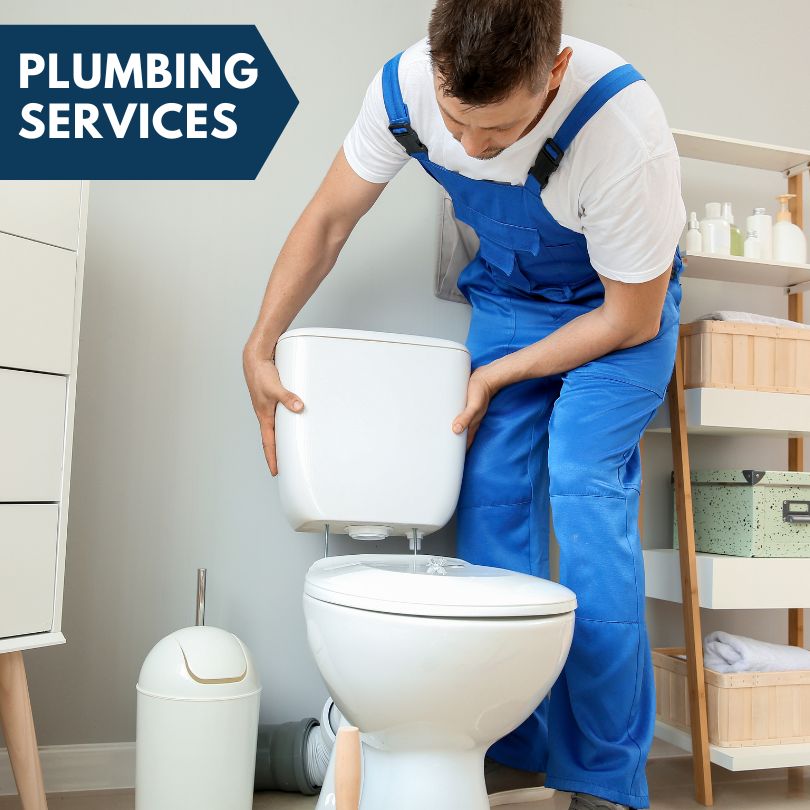 Plumbing Company in Livonia, NY